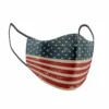 USA Flag Print Adult Face Mask