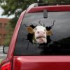 Funny Cow Crack Sticker for Car Window – Unique Gift Idea for White Elephant