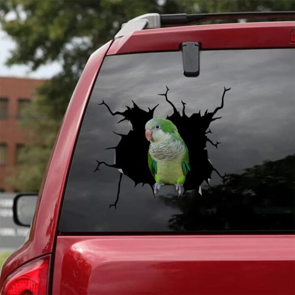 funny-parrot-crack-decals-clear-sticker-paper-for-unique-christmas-gifts-2023_wlskrp Funny Parrot Crack Decals - Clear Sticker Paper for Unique Christmas Gifts 2023