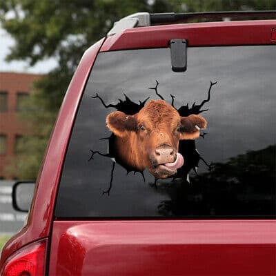funny-red-angus-cow-car-decal-cute-gift-for-dads-durable-sticker_nt88bl Funny Red Angus Cow Car Decal Cute Gift for Dads Durable Sticker
