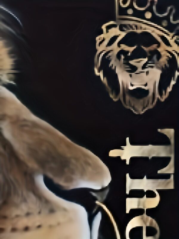 lion-graphic-hoodie-men-3d-print-kangaroo-pocket-pullover-5_zd422c Lion Graphic Hoodie Men - 3D Print Kangaroo Pocket Pullover