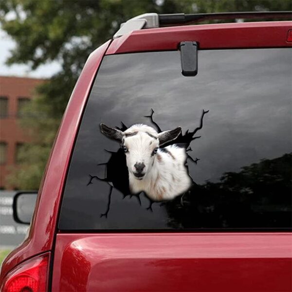 nigerian-dwarf-goat-car-sticker-funny-quotes-design-perfect-gift-for-anniversaries_yr8mh1 Nigerian Dwarf Goat Car Sticker - Funny Quotes Design, Perfect Gift for Anniversaries