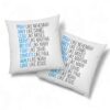 Pray Like Nehemiah Obey Like Daniel Christian Pillow, Jesus Pillows