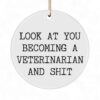 Veterinarian Student Ornament - Becoming A Vet - Funny Christmas