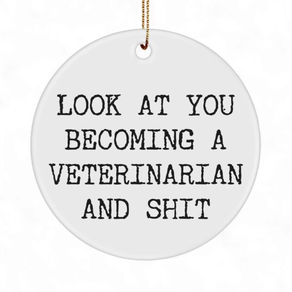veterinarian-student-ornament-becoming-a-vet-funny-christmas-1_hfmtr7 Veterinarian Student Ornament - Becoming A Vet - Funny Christmas