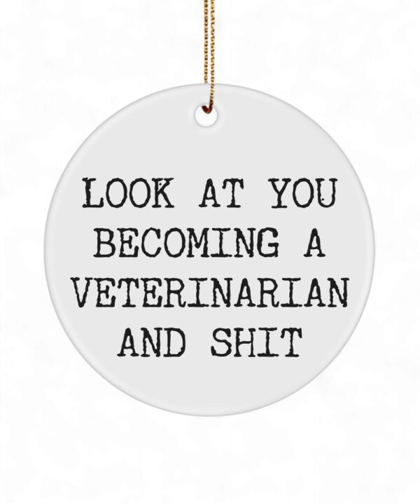 Veterinarian Student Ornament - Becoming A Vet - Funny Christmas